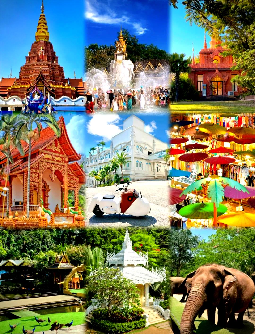 点击查看图片来源